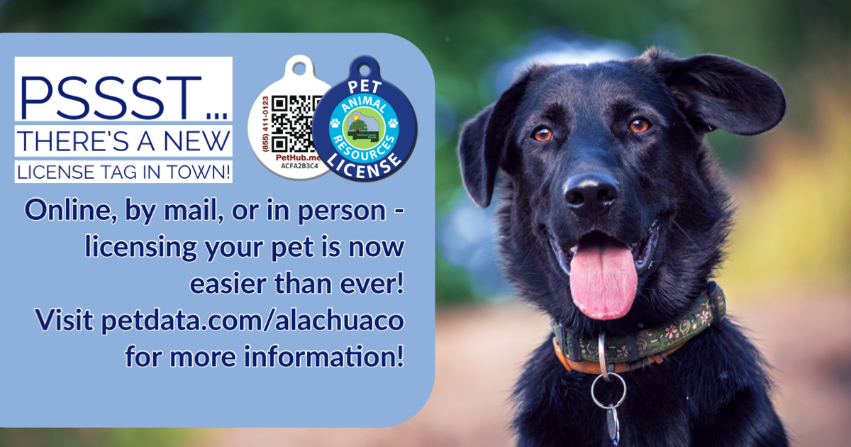 Pet clearance tag license